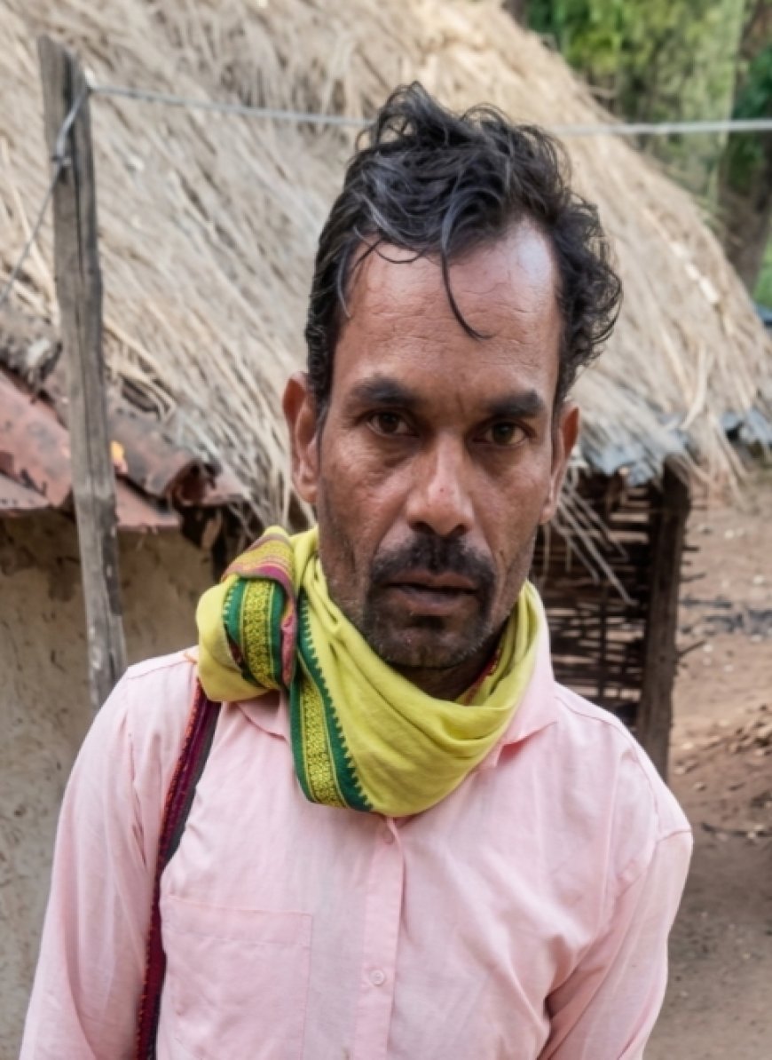 कान्हा टाइगर रिजर्व में बाघ के हमले में सुरक्षा श्रमिक की मौत, वन विभाग में शोक