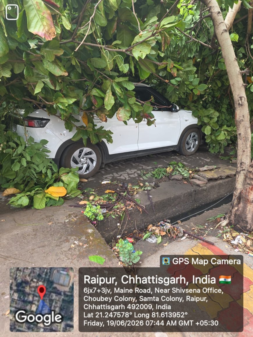 तेज आंधी-तूफान से चौबे कॉलोनी कॉम्प्लेक्स में तबाही, पेड़ों के नीचे दबी कार