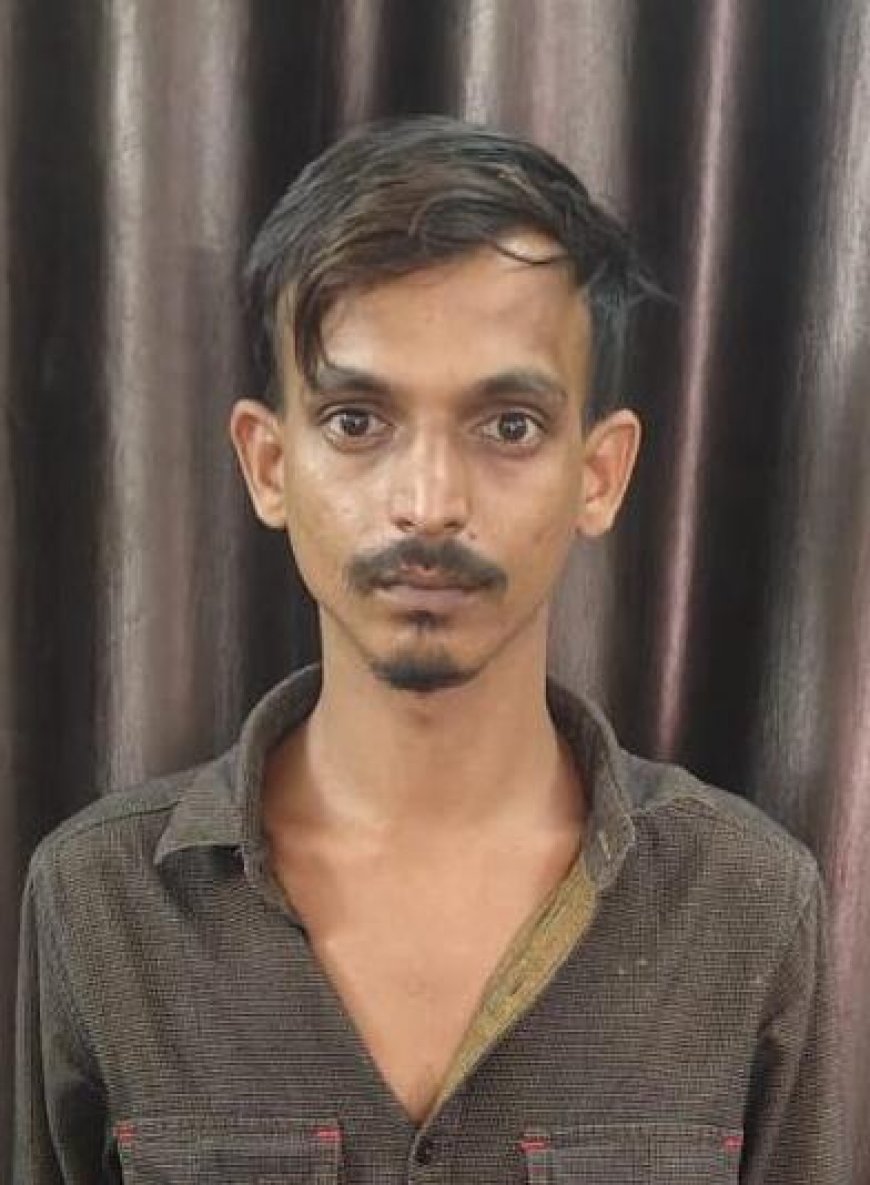शादी का झांसा देकर नाबालिग से अनाचार करने वाला आरोपी लक्की गोस्वामी जांजगीर पुलिस की गिरफ्त में