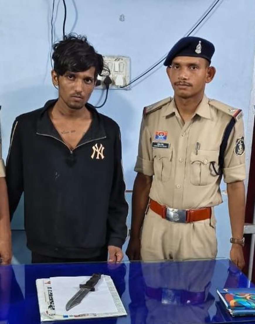 सार्वजनिक स्थान पर चाकू लहराकर लोगों को डराने वाले दो आरोपी गिरफ्तार