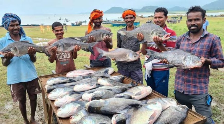 नीली क्रांति से बदल रही ग्रामीण तस्वीर, मछली पालन बना रोजगार और आत्मनिर्भरता का मजबूत आधार