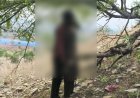 विजयपुर में पहाड़ी पर युवक और युवती के शव मिले, पुलिस जांच में जुटी