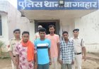 जशपुर में गौवंश वध मामले का खुलासा, चार आरोपी गिरफ्तार, दो की तलाश जारी