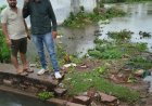पहली बारिश के बाद जामुल में नपा अध्यक्ष ईश्वर सिंह ठाकुर ने किया निरीक्षण, अधिकारियों को दिए त्वरित समाधान के निर्देश