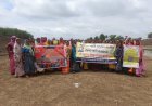 रोजगार सह आवास दिवस: ग्राम पंचायतों में उमड़ा जनसैलाब, ग्रामीणों को मिली योजनाओं की जानकारी