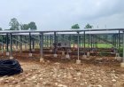 पीएम सूर्य घर योजना से रोशन हुआ टाइगर रिजर्व का गांव, ग्रामीणों को मिलने लगी मुफ्त बिजली