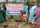 'हर-घर मुनगा, घर-घर सुपोषण' अभियान को मिली रफ्तार, कुपोषण मुक्त छत्तीसगढ़ की ओर बढ़ते कदम