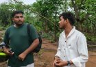 अबूझमाड़ के कच्चापाल वाटरफॉल में मधुमक्खियों का हमला, पर्यटकों में मची अफरा-तफरी