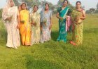 धमतरी मॉडल बना देश के लिए प्रेरणा, औषधीय पौधों की खेती से महिलाओं की बदली तकदीर