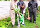 कुशाभाऊ ठाकरे परिसर में पौधारोपण, विधायक संपत अग्रवाल ने दिया हरित छत्तीसगढ़ का संदेश
