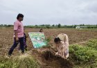 ‘पर्यावरण चैंपियन पुरस्कार–2026’ से सम्मानित हुआ लिंगो मुदियाल कृषि महाविद्यालय एवं अनुसंधान केन्द्र, नारायणपुर