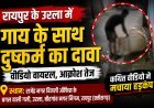 रायपुर के उरला में गाय के साथ दुष्कर्म का कथित वीडियो वायरल, जांच की मांग तेज