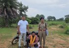 अवैध शराब कारोबार पर बालोद पुलिस की बड़ी कार्रवाई, आबकारी एक्ट के तहत 9 प्रकरण दर्ज