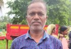 अल्प वर्षा से छोटेडोंगर के किसानों पर संकट, धान की फसल सूखने की कगार पर