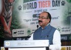 वन महोत्सव में उप मुख्यमंत्री अरुण साव ने किया पौधरोपण, पर्यावरण संरक्षण का दिलाया संकल्प