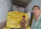 अनियमितताओं पर बड़ी कार्रवाई, पान सीड्स प्रा. लि. का बीज विक्रय लाइसेंस निरस्त