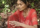 मैनपुर में बेहोशी की हालत में मिली महिला, 112 और 108 की तत्परता से परिजनों से मिला संपर्क