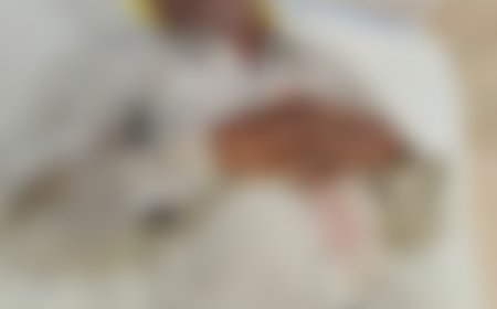 राजनांदगांव के बनबोर गांव में खेत विवाद ने लिया हिंसक रूप, कई घायल, पुलिस जांच में जुटी
