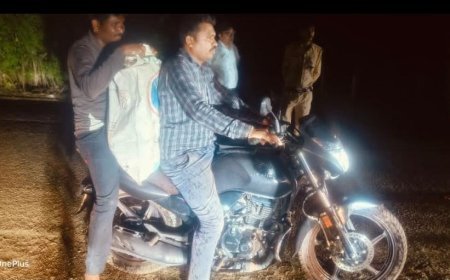 दो बाघों की खाल और पैंगोलिन की खाल के साथ दो आरोपी गिरफ्तार, वन विभाग की बड़ी कार्रवाई