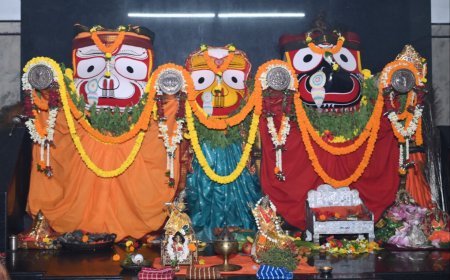 अनासर काल में भगवान जगन्नाथ को अर्पित किया गया औषधीय काढ़ा, रायपुर में निभाई गई प्राचीन परंपरा