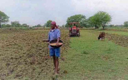 कम बारिश की आशंका के बीच सरकार की किसानों से अपील, धान की सीधी बुवाई अपनाने की सलाह