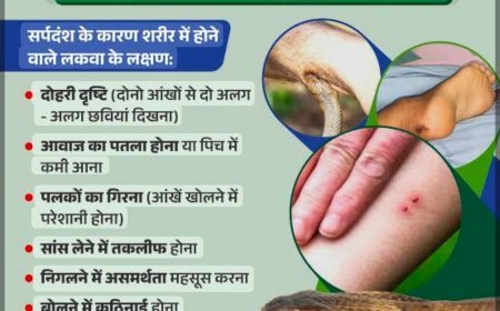 वर्षा ऋतु में सर्पदंश से रहें सतर्क, झाड़-फूंक नहीं तत्काल अस्पताल पहुंचें: स्वास्थ्य विभाग
