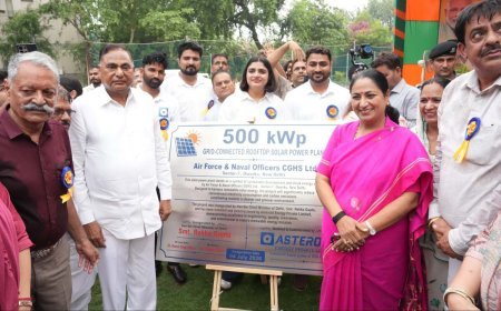 पालम में 500 किलोवाट सोलर पावर प्लांट का शुभारंभ, 375 घरों को मिलेगी स्वच्छ बिजली