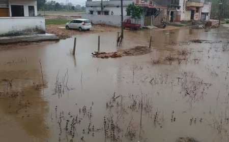 पहली ही मूसलाधार बारिश में डोंगरगढ़ जलमग्न, केदारबाड़ी सहित कई इलाकों में घरों में घुसा पानी