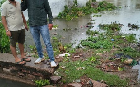 पहली बारिश के बाद जामुल में नपा अध्यक्ष ईश्वर सिंह ठाकुर ने किया निरीक्षण, अधिकारियों को दिए त्वरित समाधान के निर्देश