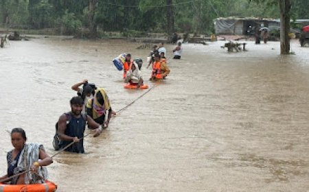 जोगी डीपा में मौत को मात, भारी बारिश से बढ़ा जलस्तर, पुल निर्माण स्थल के पास झोपड़ियों में रह रहे 14 मजदूरों का रेस्क्यू