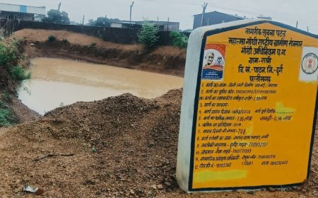 बारिश के साथ दिखा 'मोर गांव–मोर पानी' अभियान का असर, डबरियां और नवा तरिया हुए लबालब