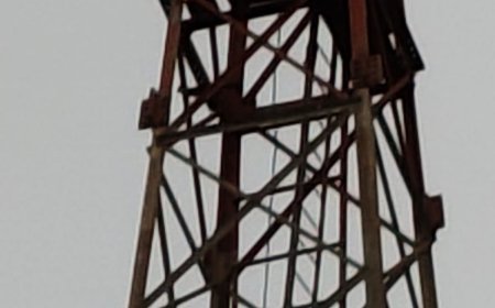 पांढुर्णा में BSNL टावर पर चढ़ा अज्ञात युवक, मची अफरा-तफरी, पुलिस ने संभाला मोर्चा