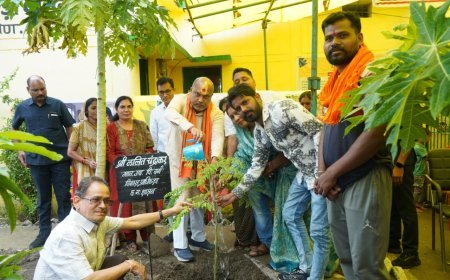 अछोटी आंगनबाड़ी में विधायक ललित चंद्राकर ने किया वृक्षारोपण, बच्चों का कराया अन्नप्राशन