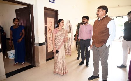 कलेक्टर ने शासकीय नर्सिंग महाविद्यालय का किया औचक निरीक्षण, व्यवस्थाओं का लिया जायजा