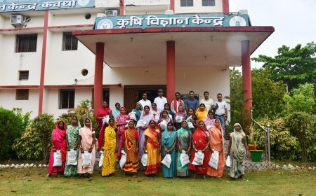 आत्मनिर्भर दलहन मिशन के तहत किसानों को उन्नत उड़द बीज का वितरण, वैज्ञानिक खेती पर दिया गया जोर