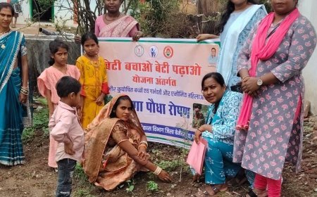 मुनगा पौधारोपण से कुपोषण मुक्त छत्तीसगढ़ की पहल, घर-घर पहुंचेगा पोषण का संदेश
