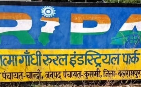 उद्घाटन से पहले दम तोड़ गया रीपा पार्क, करोड़ों की परियोजना पर भ्रष्टाचार के आरोप
