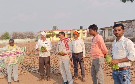 कबीरधाम में तेंदूपत्ता संग्राहकों को बड़ी राहत, वर्ष 2026 का पारिश्रमिक और 2023 सीजन का बोनस भुगतान शुरू