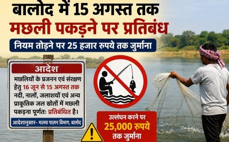बालोद में 15 अगस्त तक मछली पकड़ने पर प्रतिबंध, उल्लंघन पर 25 हजार रुपये तक जुर्माना