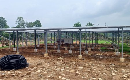 पीएम सूर्य घर योजना से रोशन हुआ टाइगर रिजर्व का गांव, ग्रामीणों को मिलने लगी मुफ्त बिजली