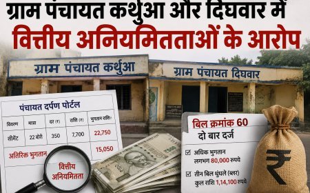 सिंगरौली की दो ग्राम पंचायतों में वित्तीय अनियमितताओं के आरोप, पंचायत दर्पण पोर्टल के रिकॉर्ड पर उठे सवाल