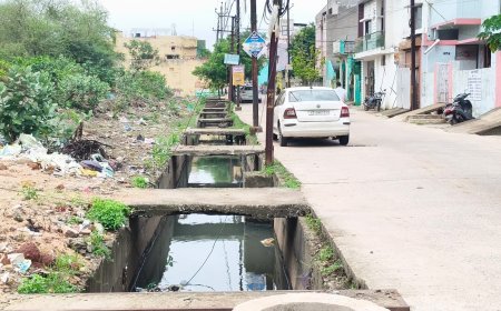 बारिश में चरमराई बिलासपुर की व्यवस्था, जलभराव और गड्ढों पर उठे जवाबदेही के सवाल