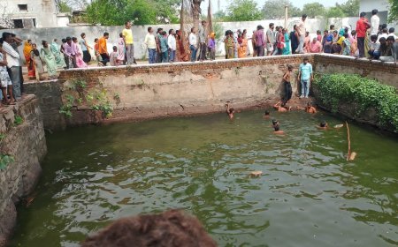 धरसीवां की प्राचीन बावड़ी में डूबने से दो मासूमों की मौत, खेलते समय हुआ हादसा