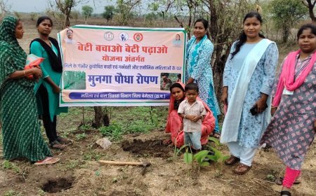 'हर-घर मुनगा, घर-घर सुपोषण' अभियान को मिली रफ्तार, कुपोषण मुक्त छत्तीसगढ़ की ओर बढ़ते कदम