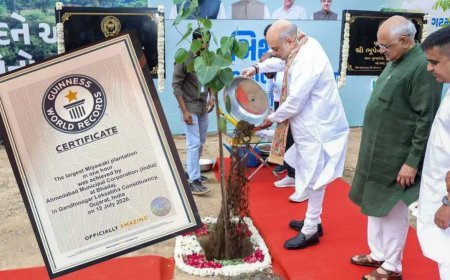 अहमदाबाद में एक घंटे में 3.61 लाख पौधे लगाकर बना गिनीज वर्ल्ड रिकॉर्ड, अमित शाह रहे मौजूद