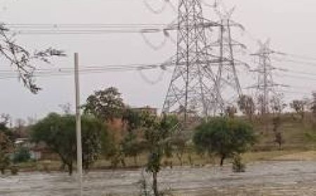 सिंगरौली में गंदे पानी से हड़कंप, 10 वार्डों में दूषित जल सप्लाई की आशंका