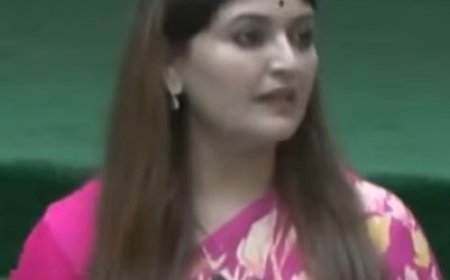 विधानसभा में भावना बोहरा ने उठाए बिजली, राजस्व और श्रमिकों के मुद्दे