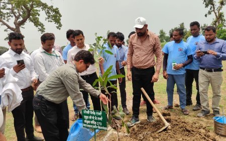 विकसित भारत जी राम जी योजना का जायजा लेने कबीरधाम पहुंची केंद्रीय टीम, कार्यों की गुणवत्ता की सराहना