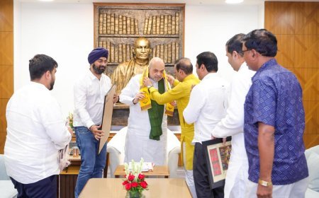 नई दिल्ली में अमित शाह से भाजपा सोशल मीडिया छत्तीसगढ़ टीम की मुलाकात, जनकल्याणकारी योजनाओं के प्रचार पर हुई चर्चा
