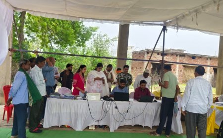 समर्थन मूल्य पर धान बेचने के लिए एग्री स्टेक पंजीयन अनिवार्य, 30 जुलाई तक कराएं रजिस्ट्रेशन